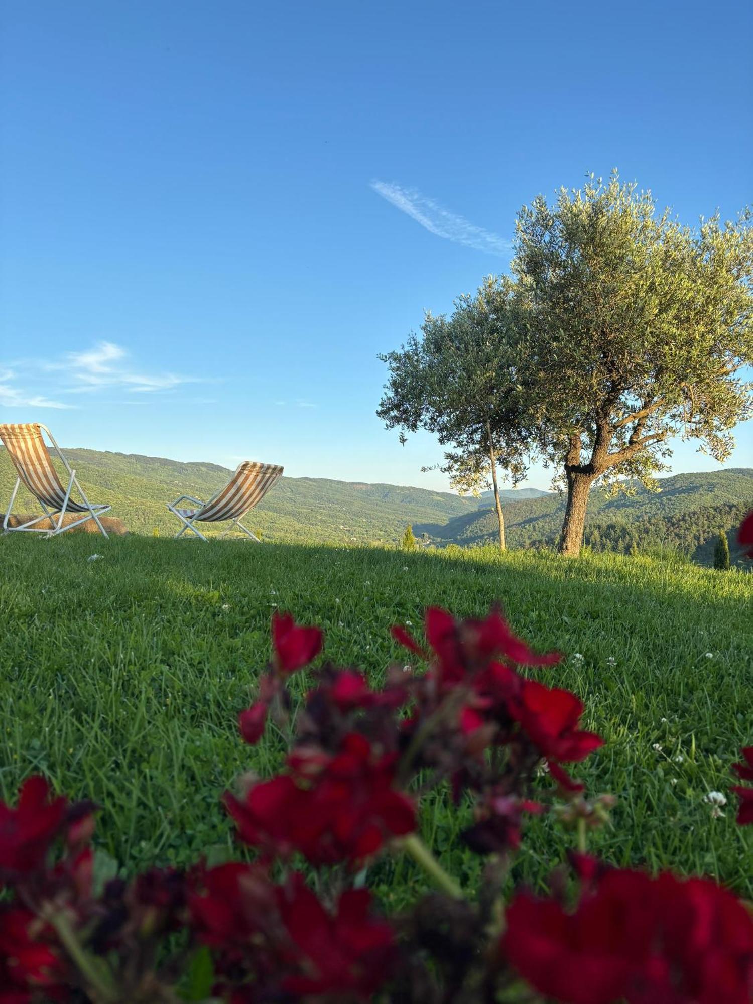 Agriturismo D'Ambiano Arezzo Exterior foto